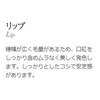 Kumano Brush (Cosmetic Brush) Takehodo Portable Standard Line Lip Brush