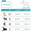 D.QingPei Dog Harness with Leash Set,No Pull Adjustable Vest Harness,Lightweight