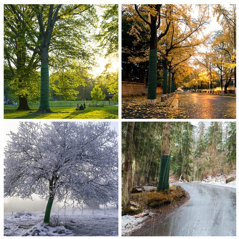 iBamso Tree Protection Film, Winter-Proof Tree Trunk Wrap Protector Guard,