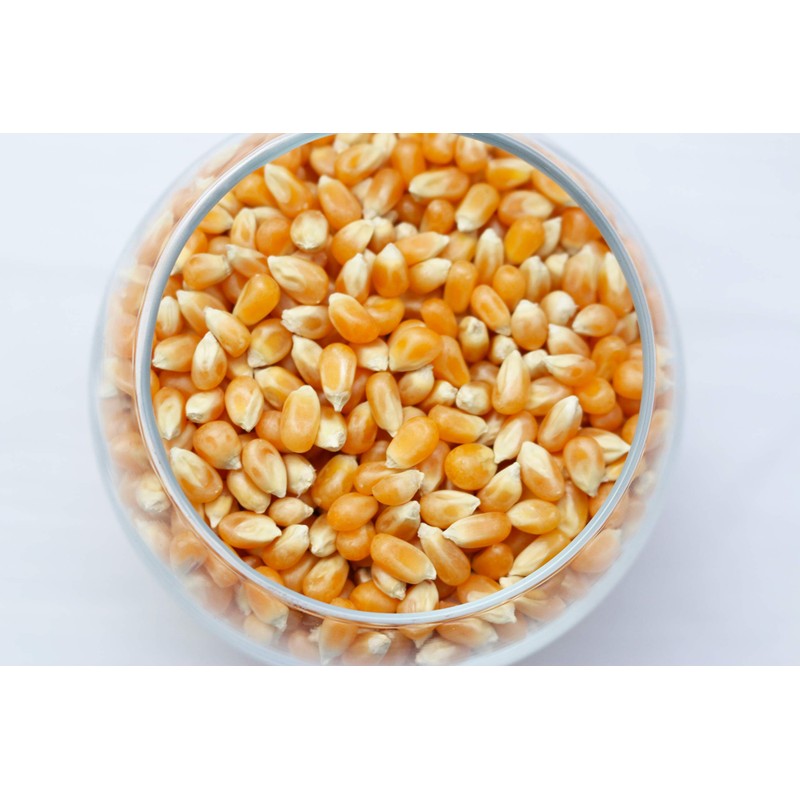 Preferred Popcorn Non-GMO Popcorn, 28 Ounce bag, Pack of 4,