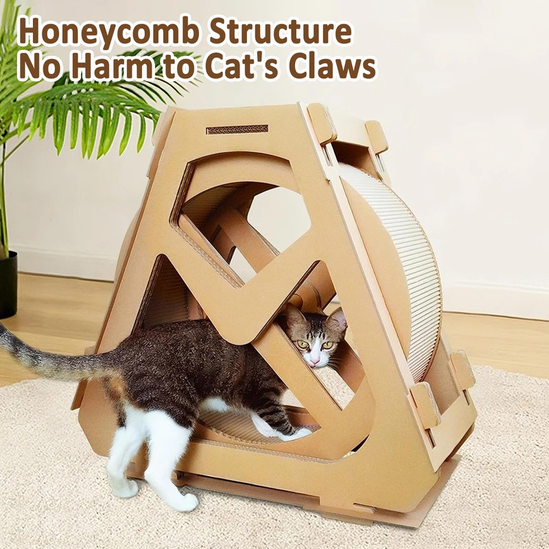 Cat Exercise Wheel, Cat Wheels for Indoor Cats