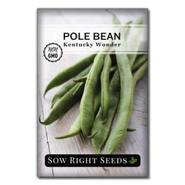 Sow Right Seeds - Kentucky Wonder Pole Bean Seeds for Planting - Non-GMO Heirloom Packet with Instructions to Plant a Home Vegetable Garden - Long Green Bean - Stringless Variety (1)