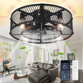 Depuley Caged Ceiling Fan with Light: 20" Flush Mount Ceiling Fans with Remote - Farmhouse Black Fandelier - Industrial Ceiling Fan Light Fixture for Small Low Indoor Bedroon Kitchen Dining Room