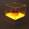 Rose Night Light Romantic Small USB Charging Soft Brightness Decoration
