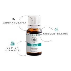 Menta Aromaterapia Aceite Esencial 100% Uso Tópico Y Difusor
