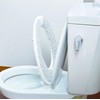 Kokubo Kogyosho Petapon Toilet Seat Monotone (4 Patterns x 1