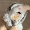 Thickening Shampoo Bar for Fine Flat & Thinning Hair |