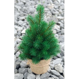 Mini Christmas Tree 33 cm Very Real Looking