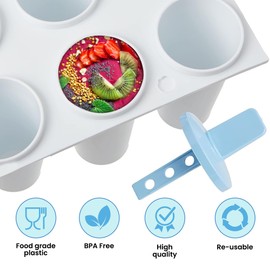 Ice Lolly Mould/8 Plastic