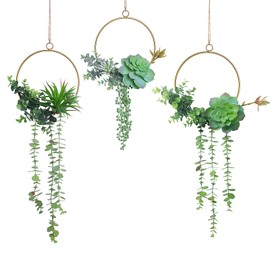 SWTHONY Artificial Succulent Wreath Set 3 Pieces Chin Color Geometric Garland Green Garland Wall Decor for Wedding Party Nursery Background