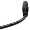kenable Pulse DMX Spiral Shielded Insulated 5-Pin Male to Female