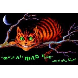 Studio B We are All Mad Here Poster