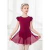 DIPUG Ballet Leotards for Girls Toddler Dance Leotard Christmas Flutter