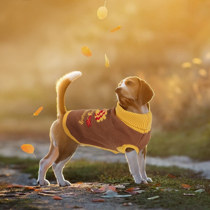 YUEPET Thanksgiving Dog Sweater with Turkey Pattern, Classic Knit Pullover