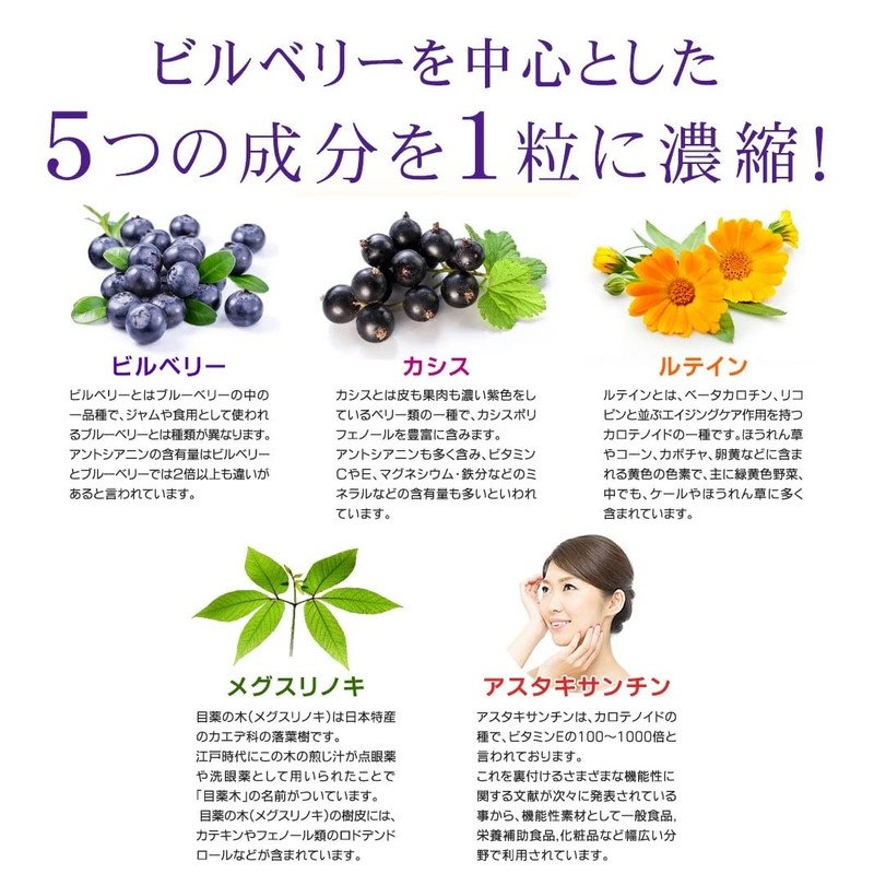 シードコムス 北欧産100% ビルベリー サプリメント ルテイン カシス 約3ヶ月分 90粒