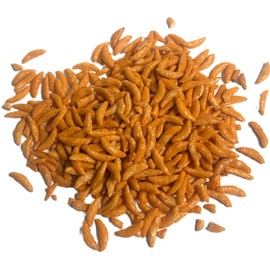 Chili Crescents - 1 lb of Fresh Bite Size Rice Snack Pieces in Resealable Bag to Ensure Freshness