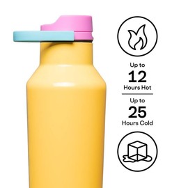 Corkcicle Classic Sport Canteen Insulated Water Bottle - Keeps Beverages Cold 25 Hours - Triple Insulated - Summer Drinkware Gift - Keeps Drinks Ice Cold - Leak-Proof Cap - 20 oz - Toucan Jams