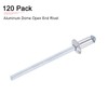 DTGN 2.4mm x 6mm (DXL) Blind Rivets - 120Pack -
