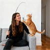 Goosheep 8 Pack Cat Wand Toy Cats Toy (2 Solid