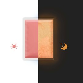 Rhea Arcas Glow in The Dark Powder,Luminous mica Pigment Powder for Epoxy Resin, glo Fluorescent Dye for fine Art,Nail Polish,Acrylic Paint,DIY Crafts,Rocks,Slime and Theme Party,Orange 113g/4oz