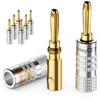 deleyCON Set of 8 Banana Plugs Gold-Plated Screwable for Speaker