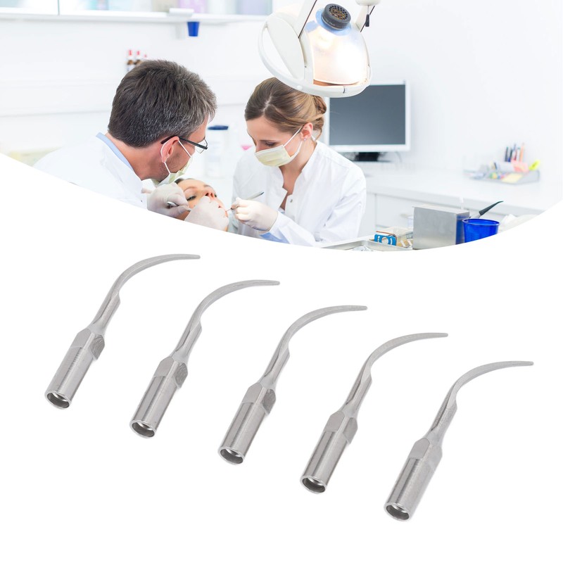 5pcs P1 Dental Clean Machine Tip Stainless Steel Heat Resistance
