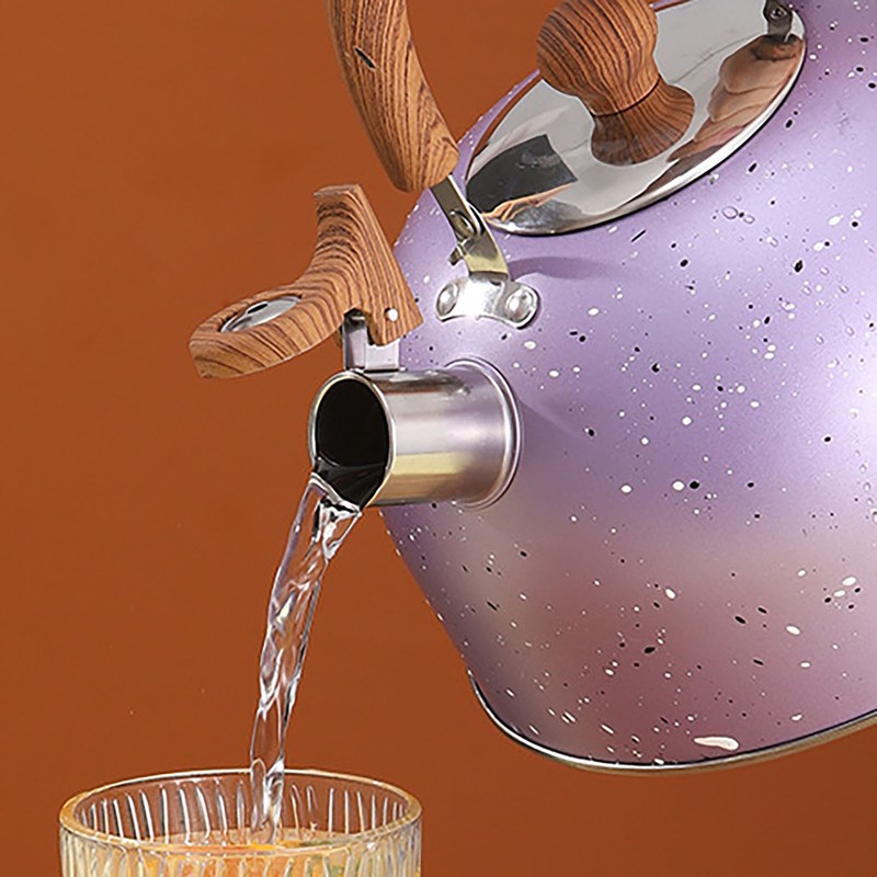 Water Kettle Stainless Steel Whistle Water Kettle Large Capacity Flat