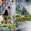 URANT Drip Irrigation System Kit,Replaceable 360-Degree Bent Dropper with New