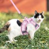 Brifit Cat Harness, Cat Harness Set, Escape Proof with Reflective
