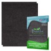 Breathe Naturally Replacement Carbon Prefilter (2 Pack) for Winix C535,