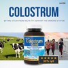 Herba Bovine Colostrum Supplements 500mg - 120 Capsules | 30%