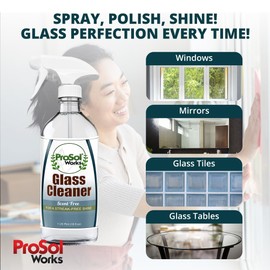 ProSol Works Glass Cleaner 16 oz - All Purpose Cleaning Spray for Glass Doors & Windows, Mirrors & Chrome Surfaces - Glasses Spray Helps Remove Smudges, Fingerprints, Rain Spots & Oil - Glass Cleaners