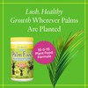 Grow More Palm Food with Yucca Extract (15-5-15) - 1.5lbs