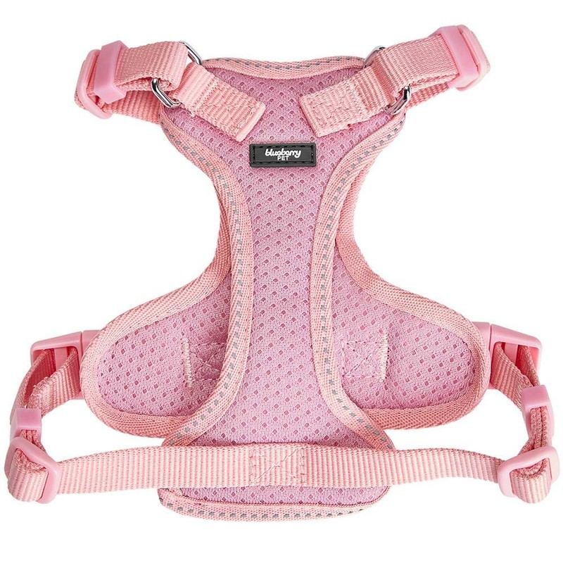 Blueberry Pet 5 Patterns Diagonal Striped/Reflective Cat Harness & Leash