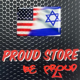 Generic America USA Israel Dual Country Domed Decal Distress Sticker 3D 3.25""x2"" Israel, Hebrew, USA-Israel, Mixed