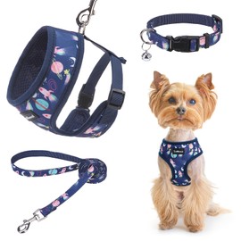 SCENEREAL Small Dog Harness Collar and Leash Set, Adjustable No Pull Pet Harnesses, No Chock Soft Mesh Step in Vest for Doggie Puppy Medium Dogs Cats Girl or Boy,Chihuahua, Yorkie, Outdoor Walking