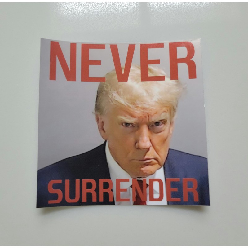 Generic (10 Pack) Never Surrender Trump Mugshot Sticker