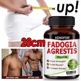 KENOFOR Fadogia Agrestis 120 Capsules - Promotes Physical Performance,St - 120 Capsules