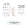 Vitamin B Complex+ Supplements – 8 Key B Vitamins for