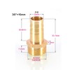 TopHomer 1 x BSP Hose Connector Brass Pipe Fitting 6mm/8mm/10mm/12mm/16mm/19mm/25mm