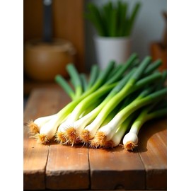 Seeds Green Onions Batun 300+ Seeds to Grow Non-GMO Heirloom Bunching Onions Scallions Spring Onions