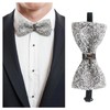 ASTRQLE Rhinestone Bow Ties for Men Pre Tied Sequin Bow