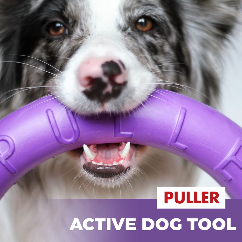 PULLER Midi Interactive Dog Toy Fitness Tool Set, purple