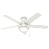Hunter 46 inch Indoor Ceiling Fan with LED Light -