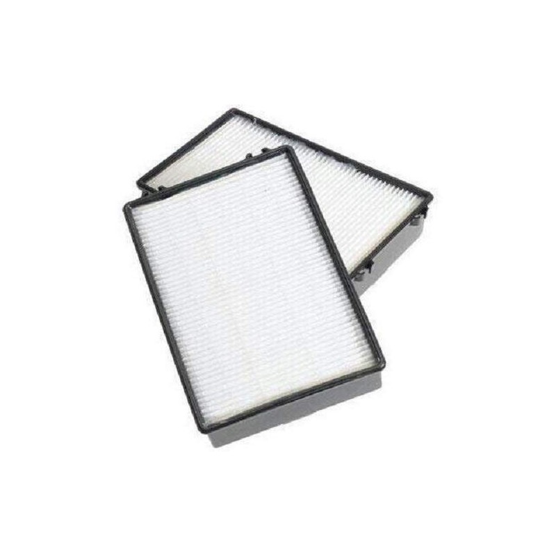 Holmes True HEPA Filter with Enhanced Mold Fighting Power, 2-Pack,