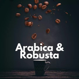 Trung Nguyen Espresso Whole Bean Coffee Innovator 17.6oz (500g) High Quality