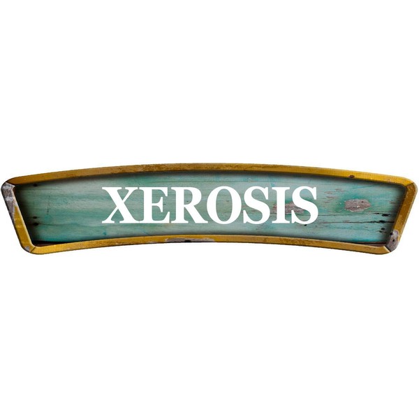 XEROSIS Teal Curved 8" Shaped Weathered Rustic Painted Wood Look