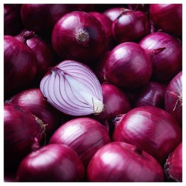 Everwilde Farms - 1 Oz Ruby Red Onion Seeds - Gold Vault