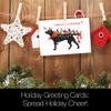 Tree-Free Greetings Christmas Cards and Envelopes, Holiday Card Set, 5