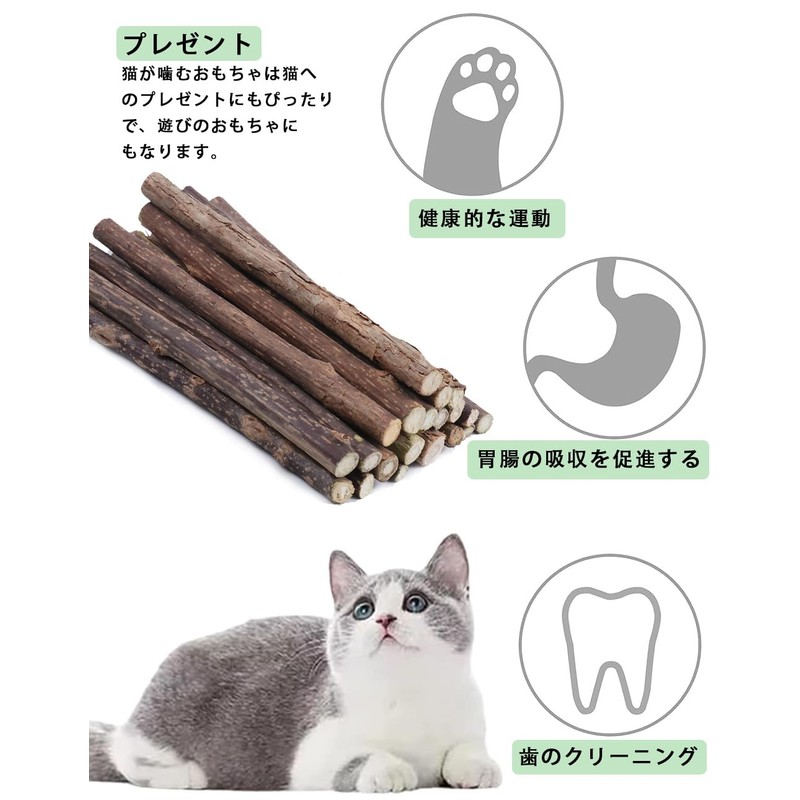 Cat Teeth Grinding Stick, Cat Chew Toy, Agatabi Tree, Kitten
